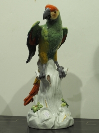 Papoušek Meissen - velký